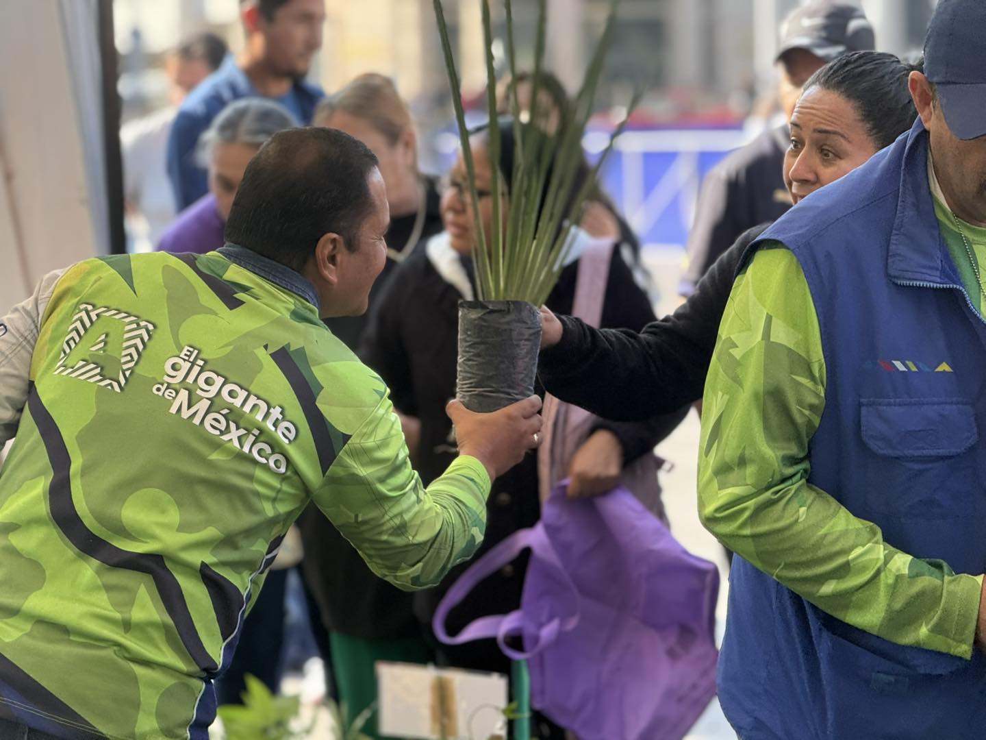 Entregaron más de 2 mil 500 plantas en la Vía Ags