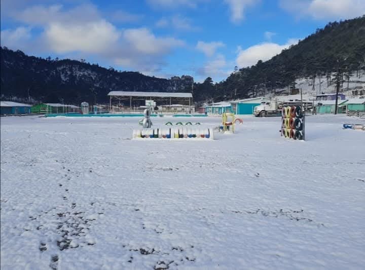 Esta es la comunidad de Durango que registra la temperatura más baja del país: -11.5 °C