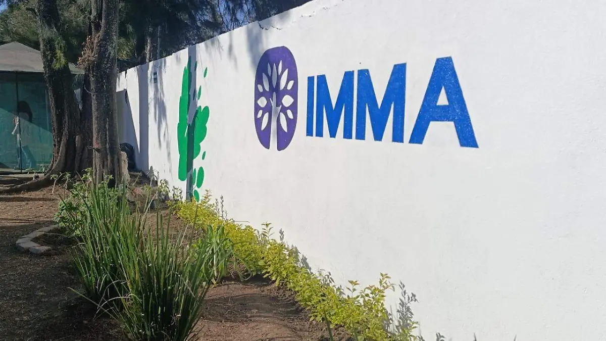 Aumentan atenciones en Casas de la Mujer del IMMA