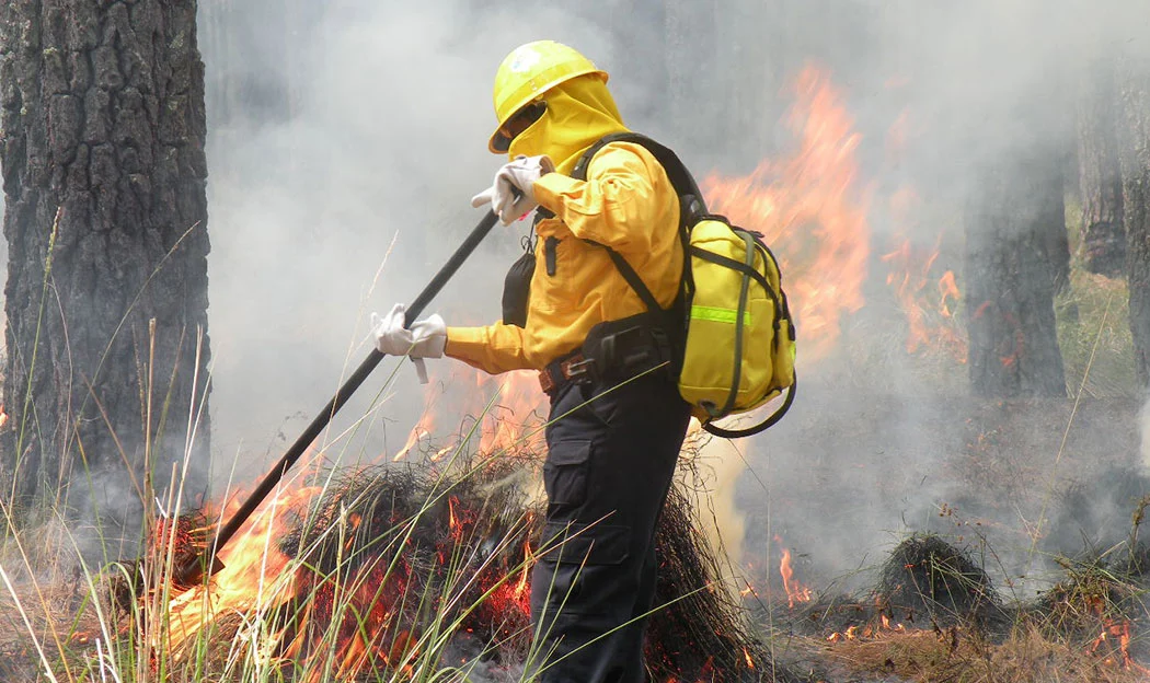 Prevén adelanto en la temporada de incendios en Aguascalientes