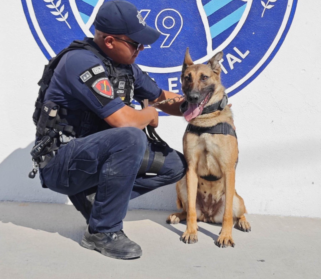 ¿Ya conoces a la policía del Grupo K9?