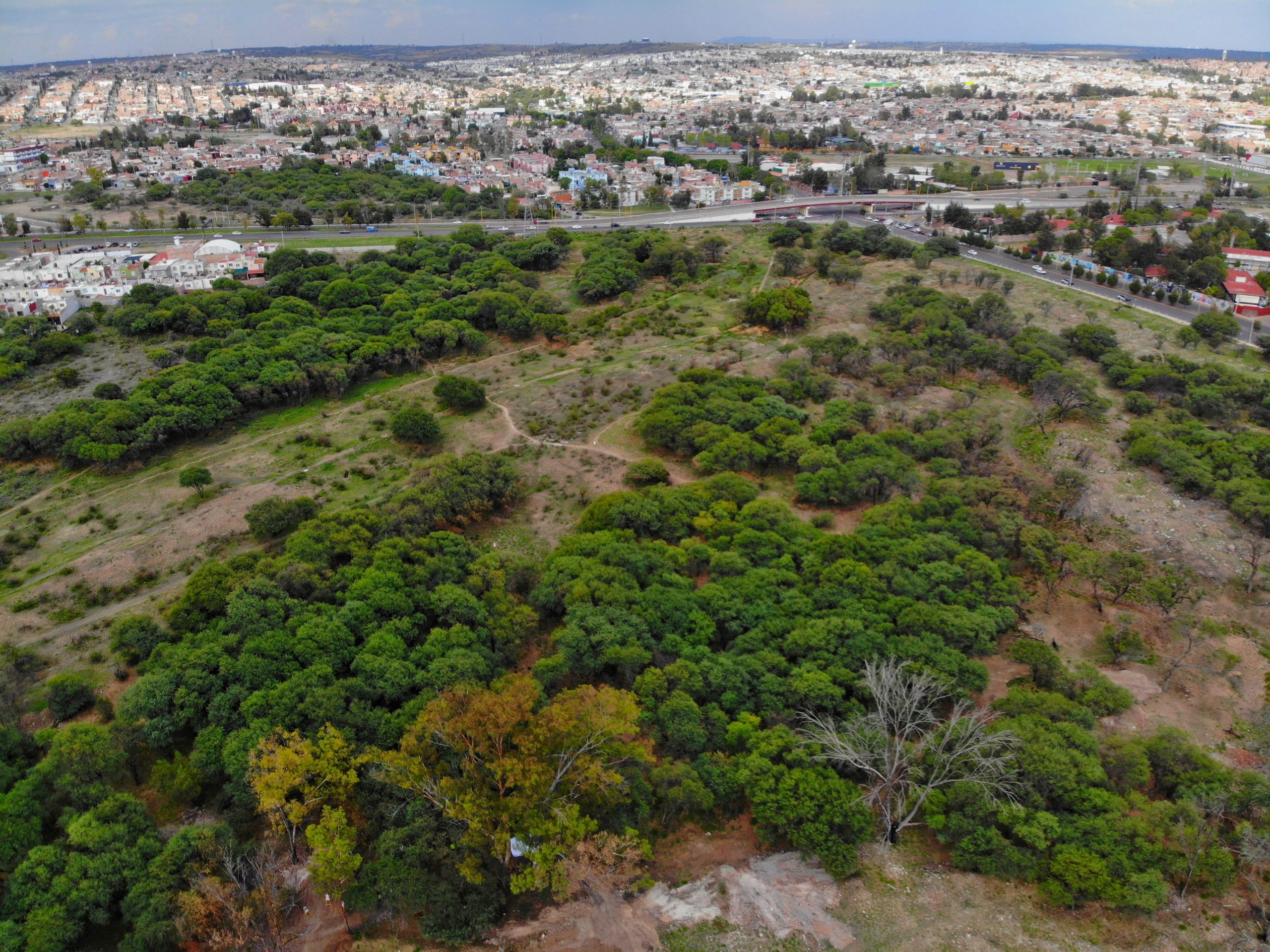 Rescate de La Pona sigue estancado, señalan activistas