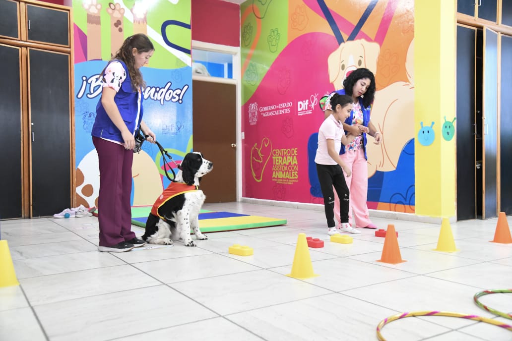 ¿Sabías que existen perros y caballos entrenados especialmente para ayudar a niñas, niños y adolescentes con autismo?