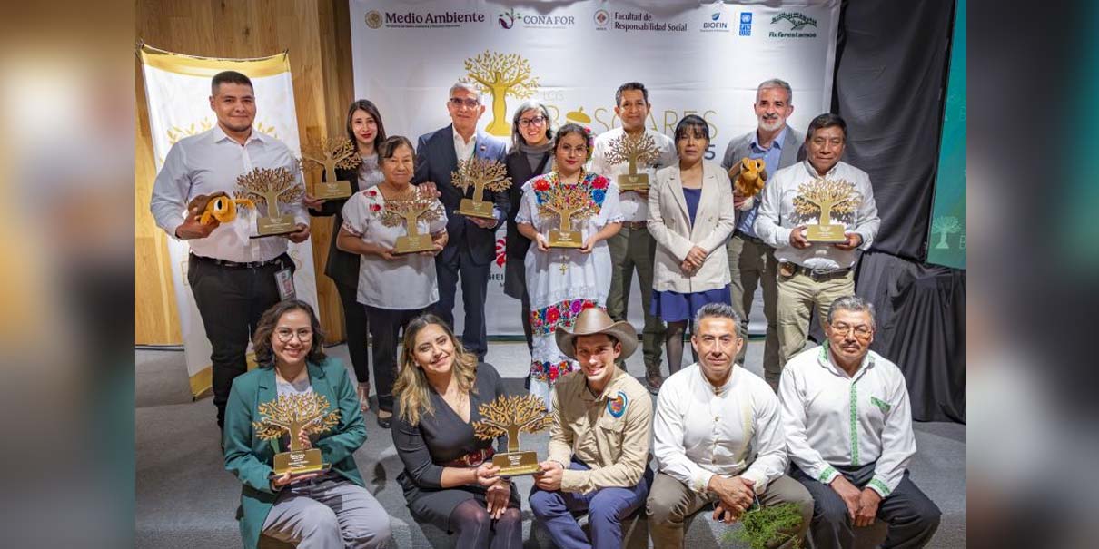 Reconocen iniciativa de AJEMEX para favorecer cuidado de los bosques mexicanos