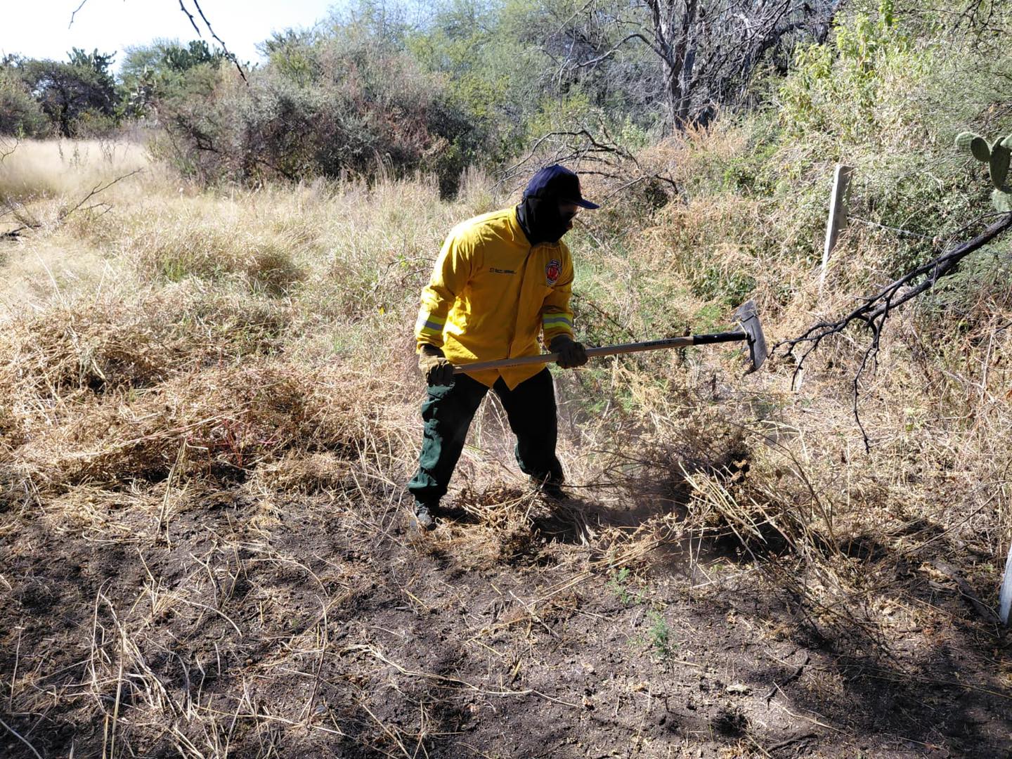 Se trabaja para la prevención de incendios forestales