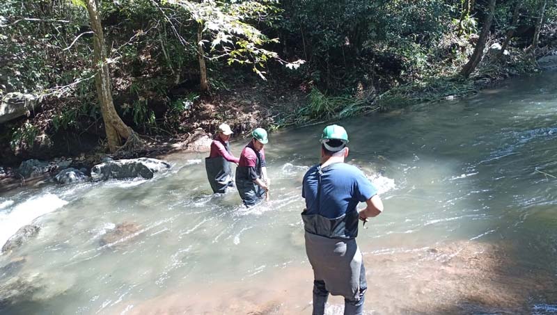Sheinbaum prepara visita a Puebla; continúa la búsqueda del menor Liam Tadeo