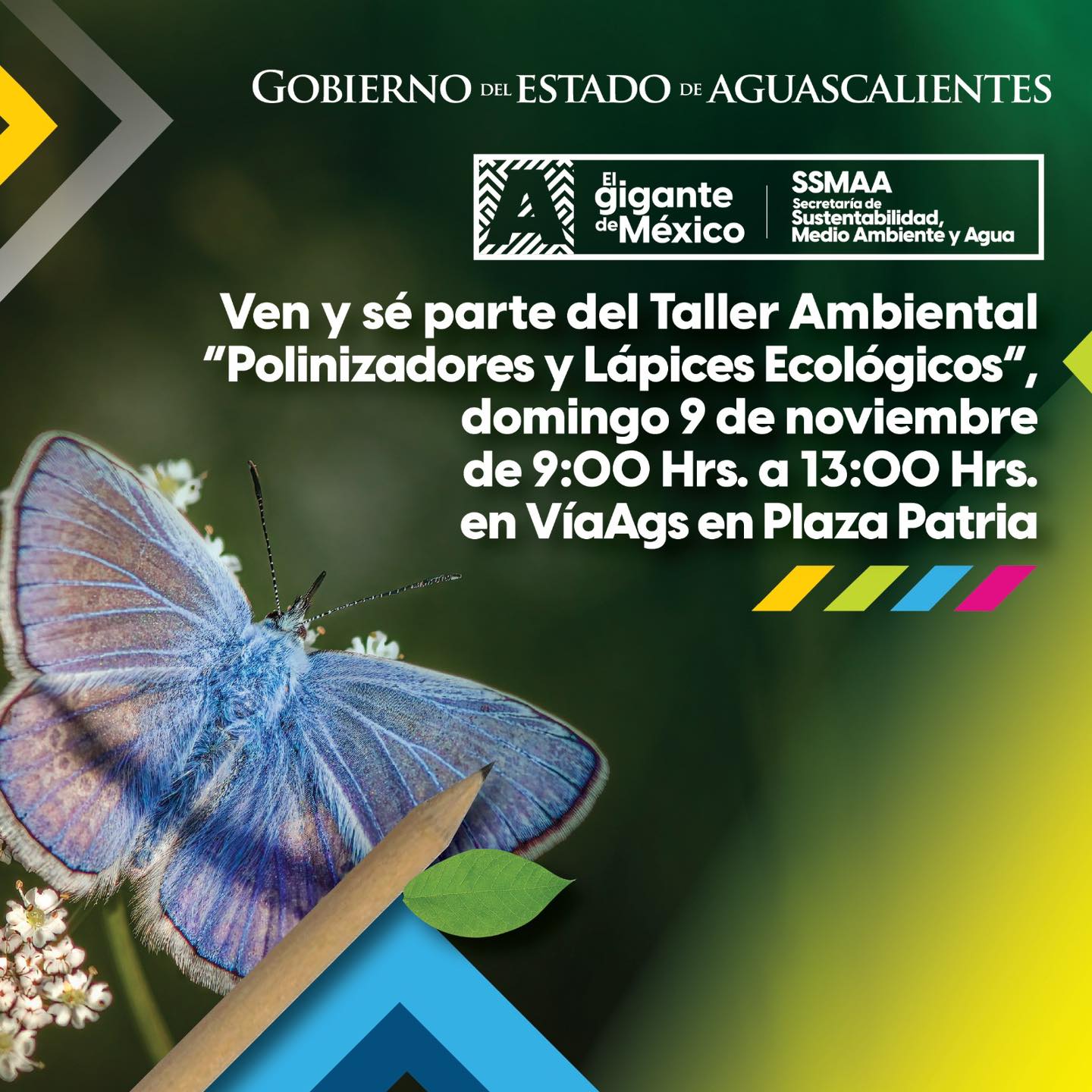 Participa en el taller “Polinizadores y Lápices Ecológicos”