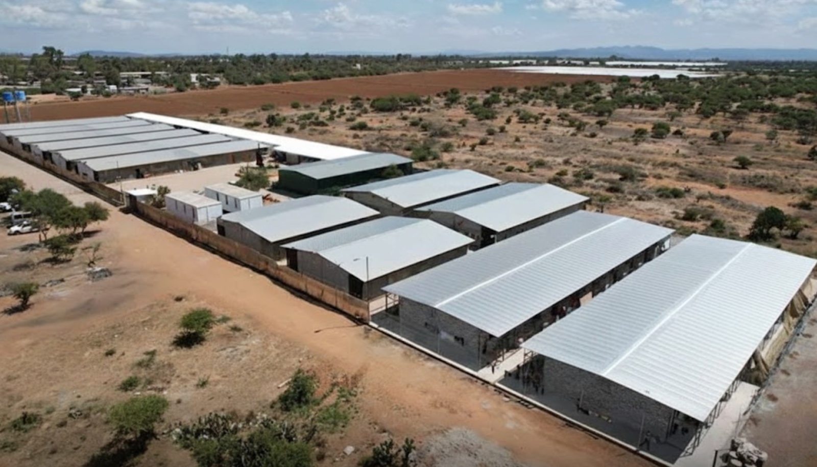 Gobierno mantiene procesos contra Agroverdi en Guanajuato, tras presunta explotación laboral 