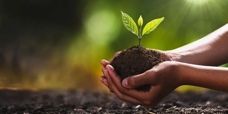 Congreso de Aguascalientes reduce sanciones por delitos ecológicos