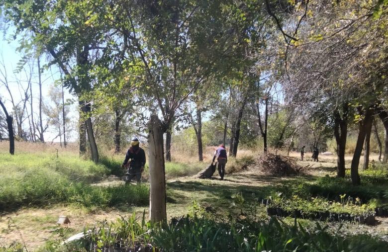 ¡Cuidado y mantenimiento de los viveros estatales!