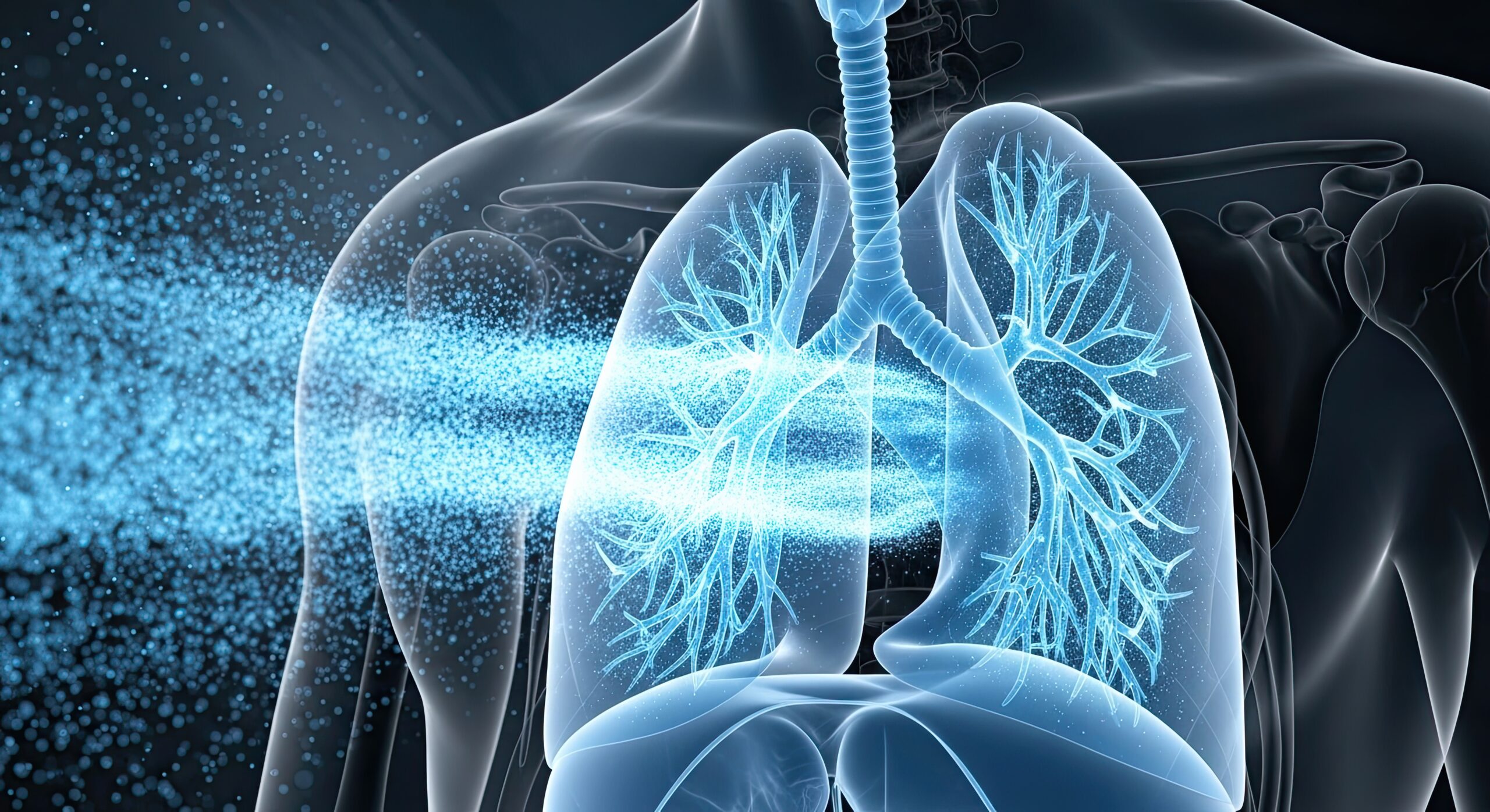 Estos electrodomésticos liberan altos niveles de partículas nocivas que penetran hasta lo más profundo de los pulmones