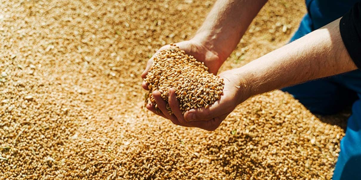 Armenta exige a Granjas Carroll respetar precio de cebada a productores poblanos