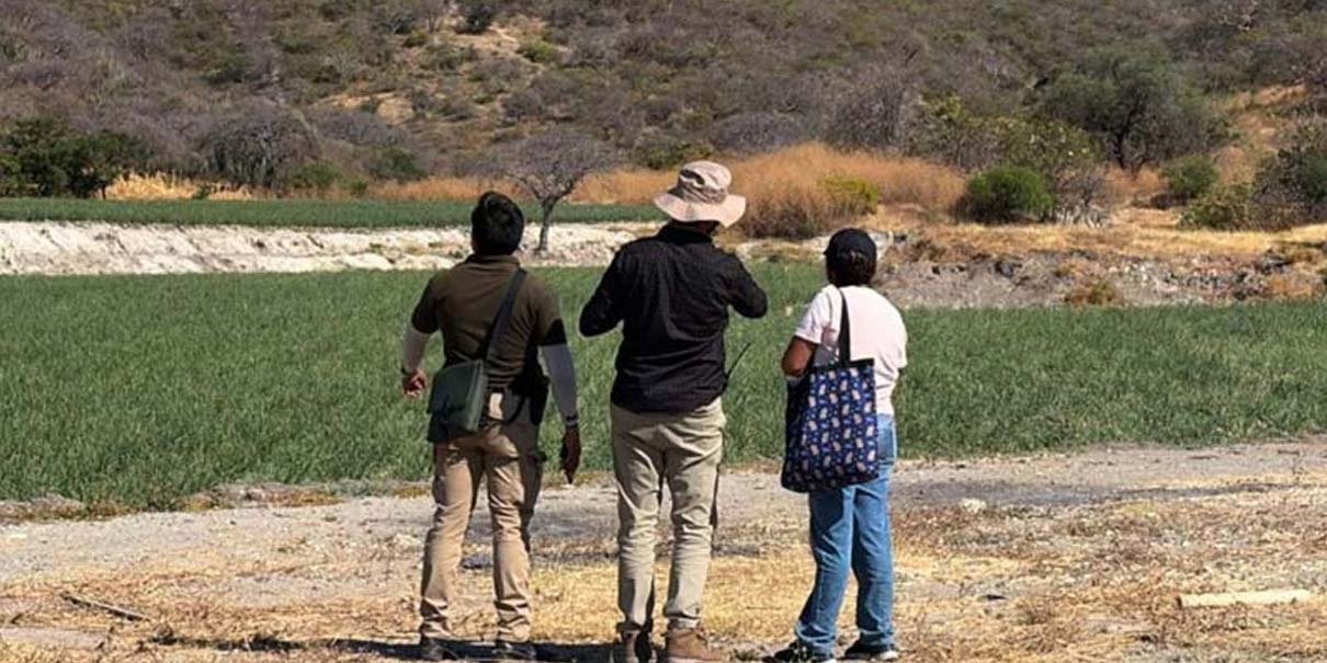 Continúa búsqueda de Nemecio Herrera en Tilapa; Gobierno de Puebla despliega brigadas