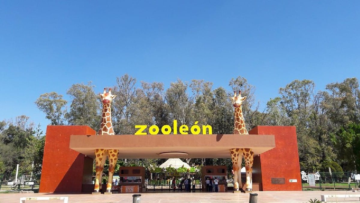 León ya busca nuevo titular para el Zoológico, tras muerte masiva de animales