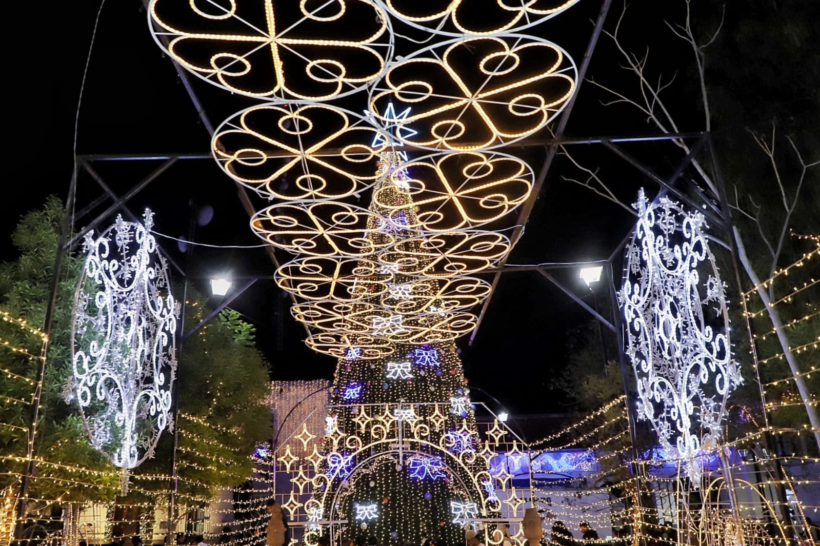 Arranca la Navidad en Jesús María con el encendido de su árbol y decoraciones 2025
