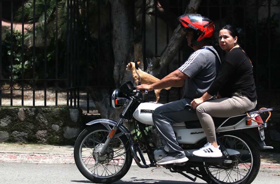 Crece accidentes de motocicleta en León; analizan crear escuela municipal de manejo