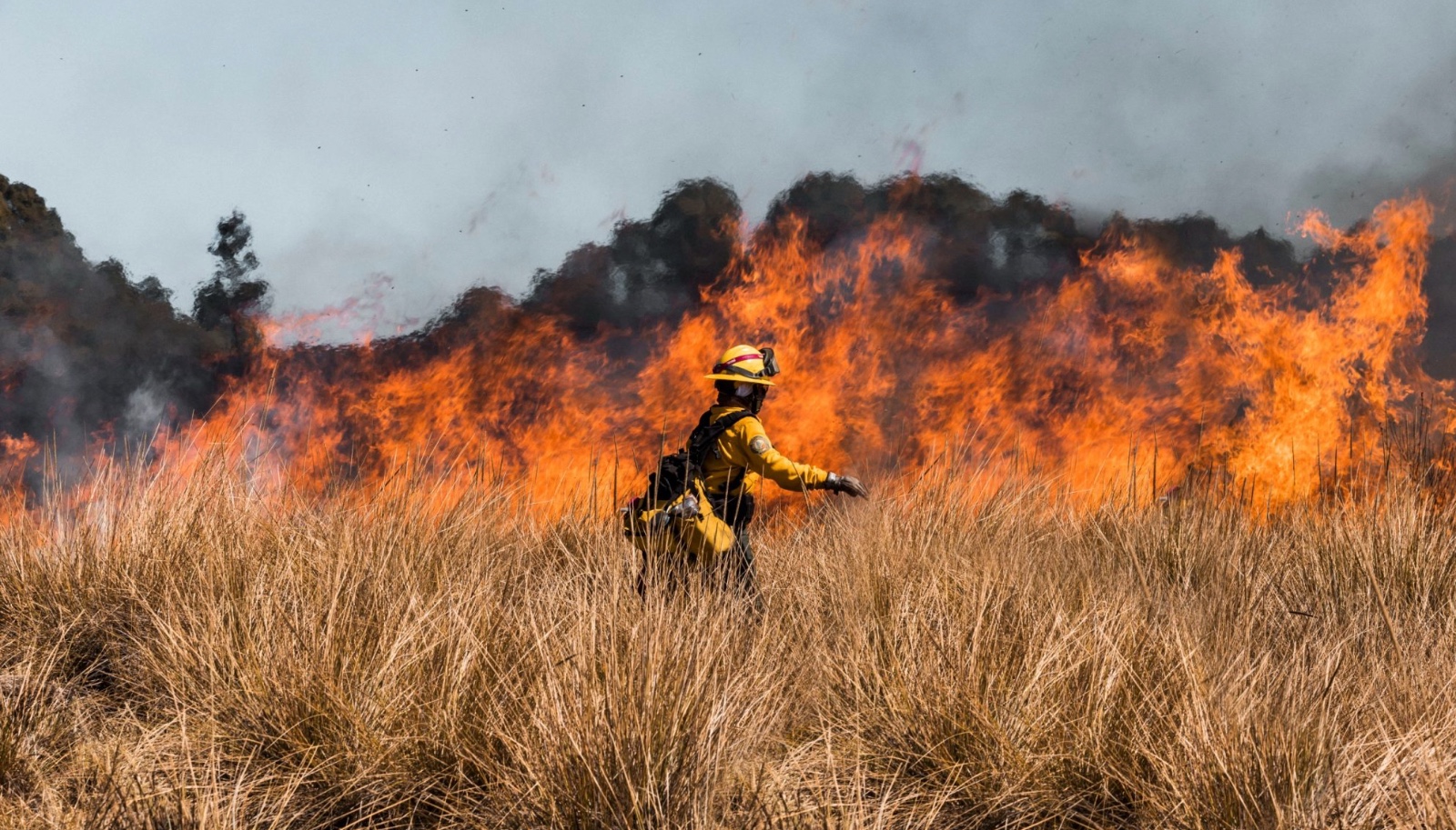 Temporada de incendios se adelanta en Guanajuato: PC alerta por alto riesgo