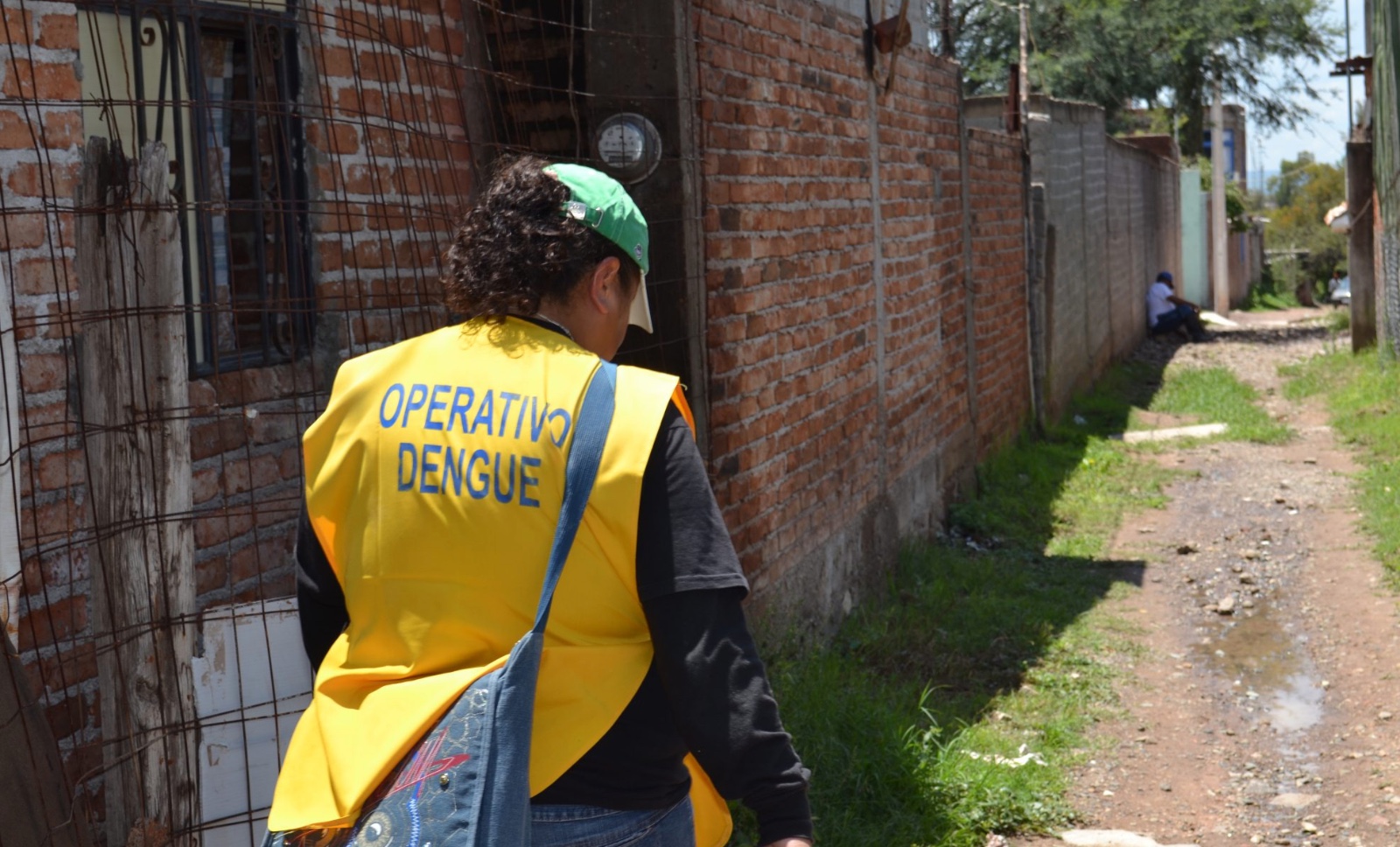 Caen 57% casos de dengue en Guanajuato