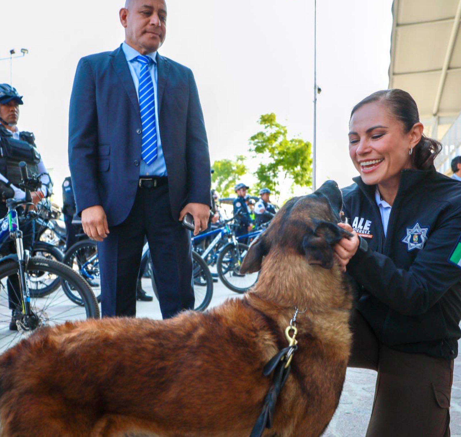 Mueren más de 20 borregos y se fugan lobos del Zoológico de León: alcaldesa anuncia investigación.