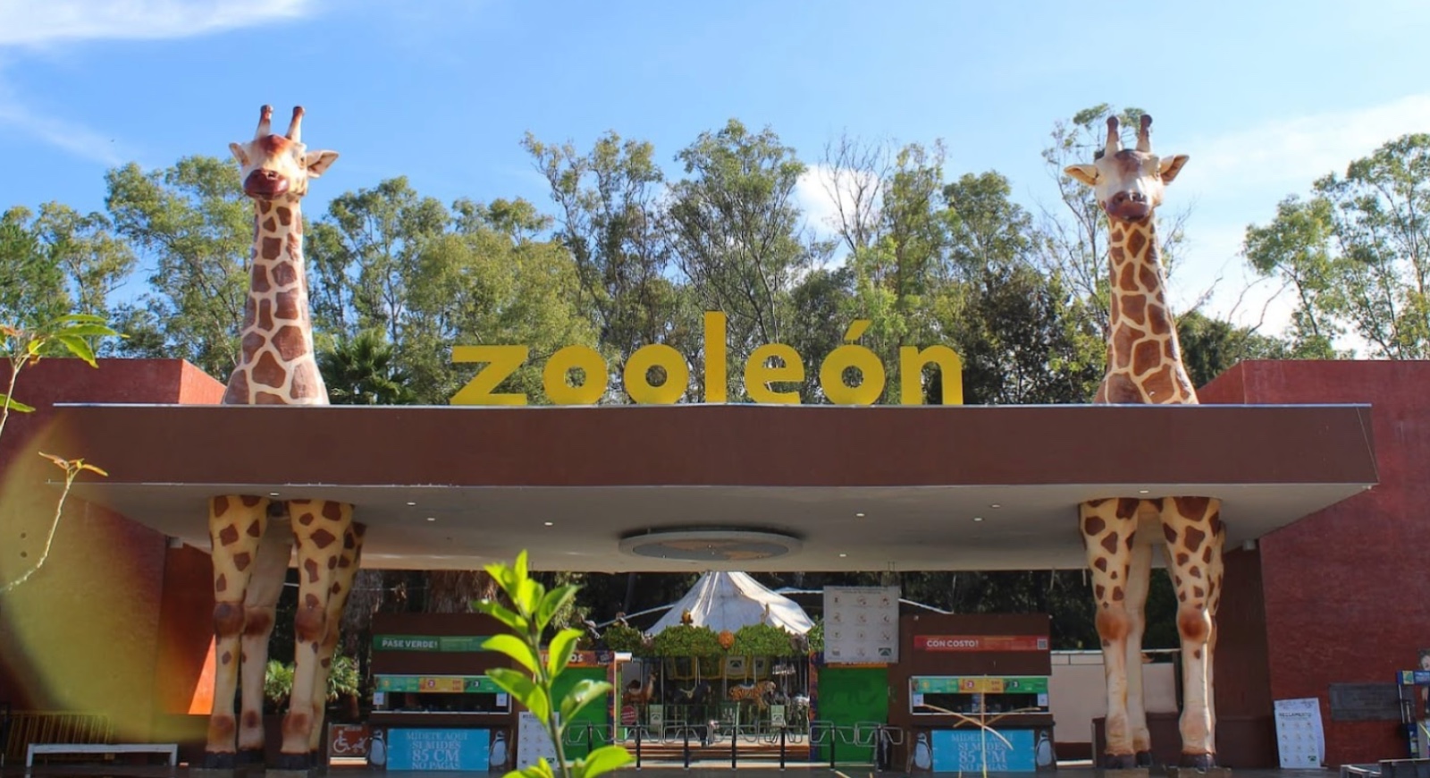 Zoológico de León se mantiene abierto en Navidad y Año Nuevo 