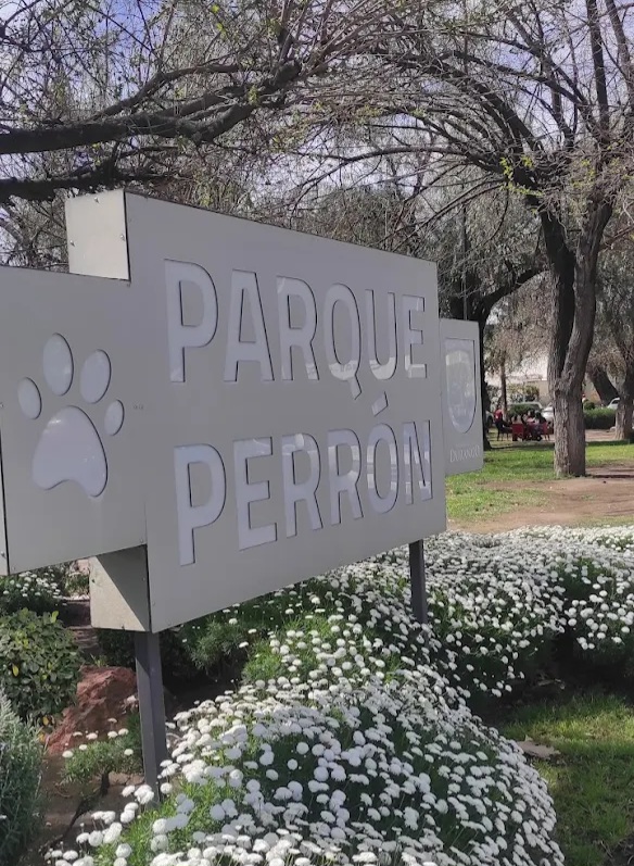 ¿Qué pasa con el Parque Perrón? Regidor señala deterioro y riesgos