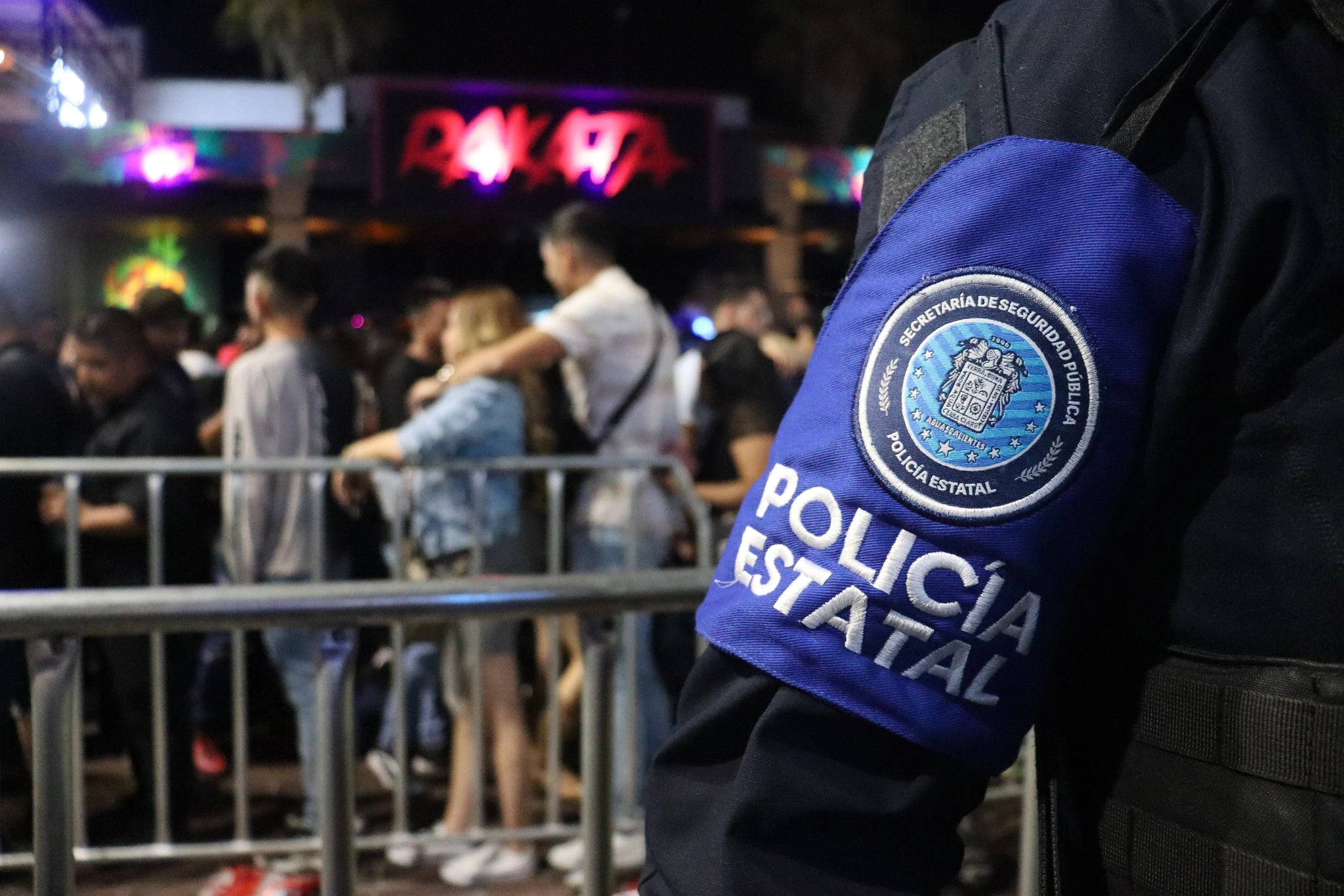 Habrá 18 “aduanas” para impedir el acceso de armas a la FNSM