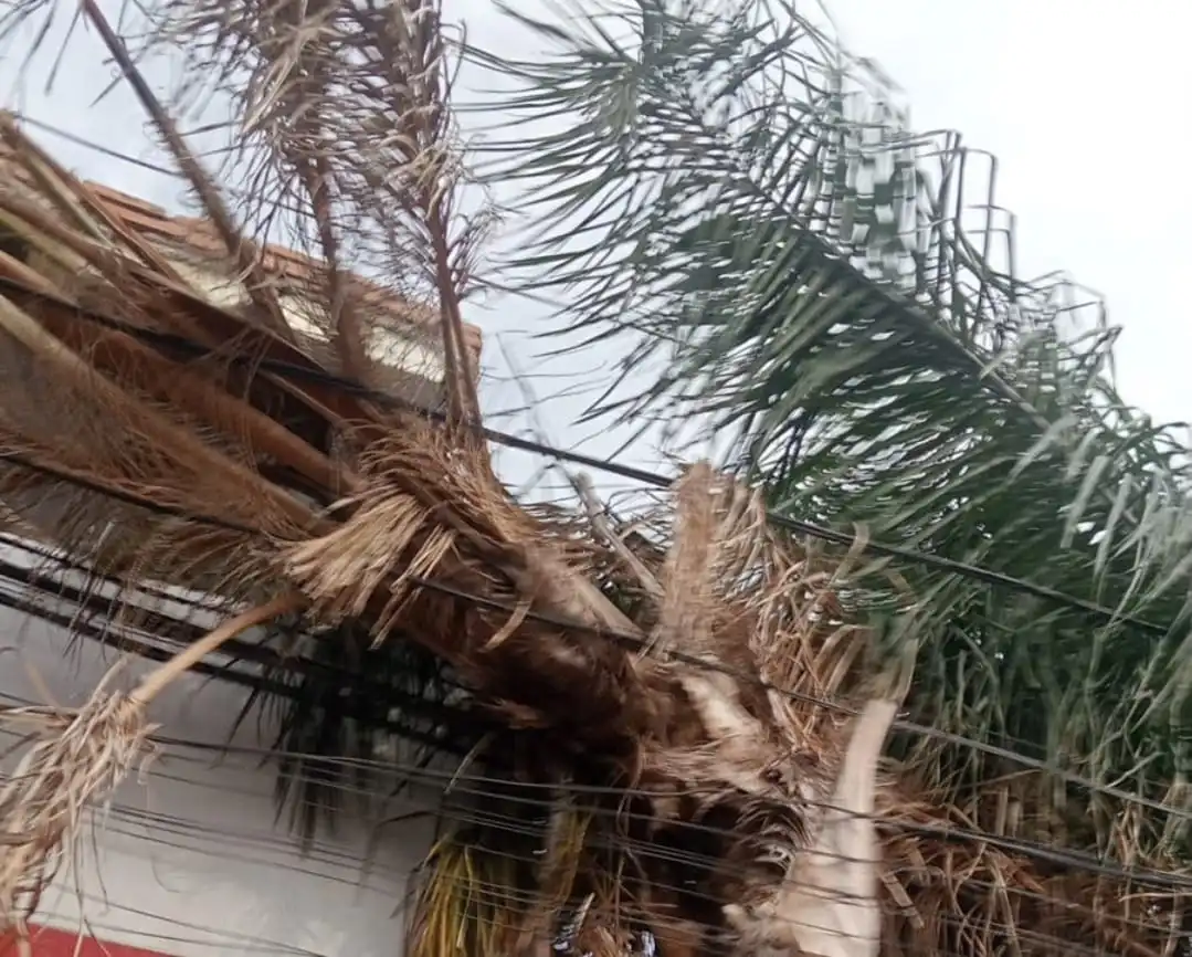 Ante la presencia de ráfagas de viento, toma en cuenta estos consejos