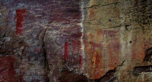 Ocote. Panel P.R. (Foto Mario Palacios)