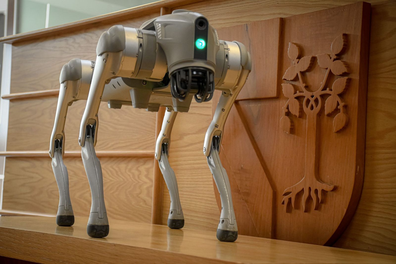 RoboDog Go2 Pro, el “perro robot” que lleva la IA al salón de clases