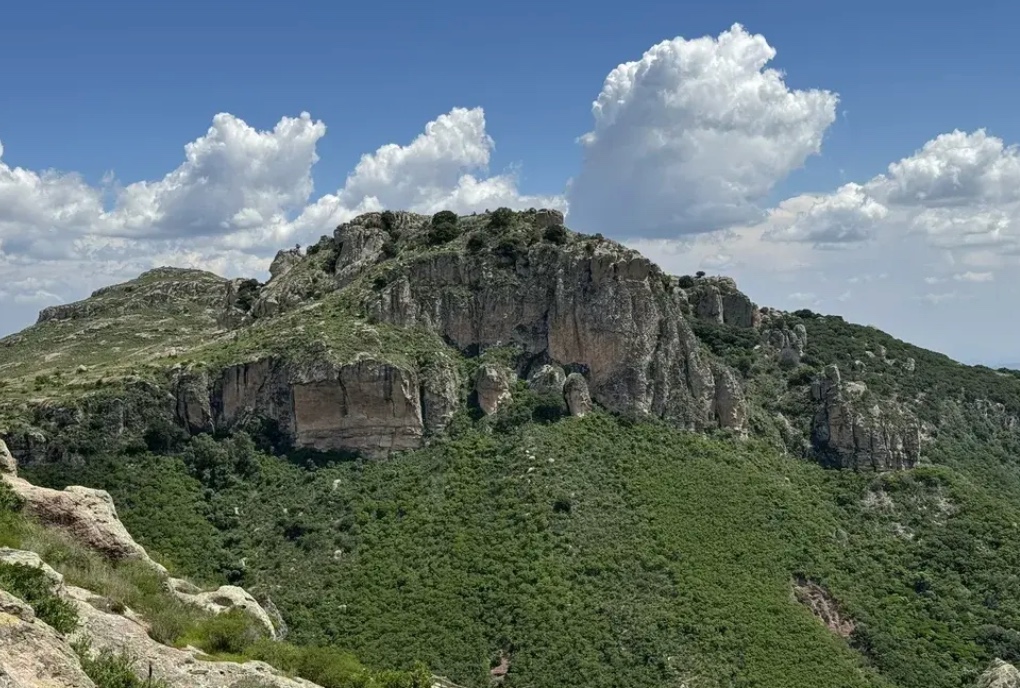 Buscan declarar Área Natural Protegida a cerros emblemáticos de Guanajuato capital