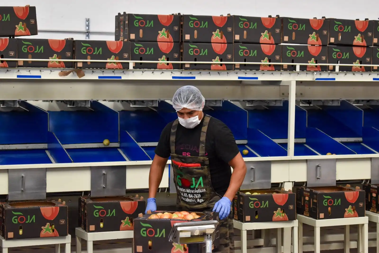 Teme SEDECYT afectaciones a la productividad por jornada de 40 horas