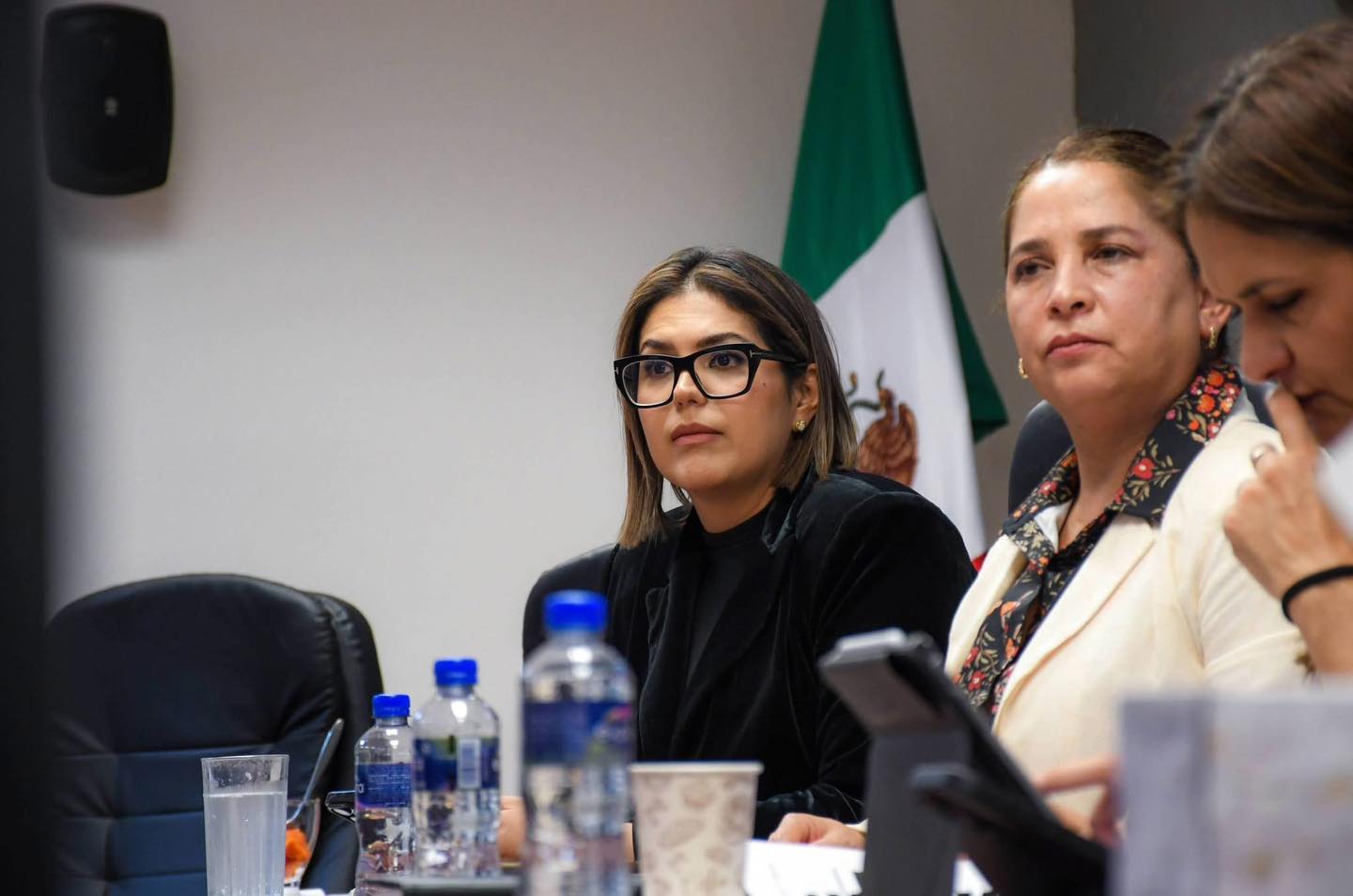 Procuraduría ambiental en Aguascalientes cambiará de nombre e incorporará enfoque animal