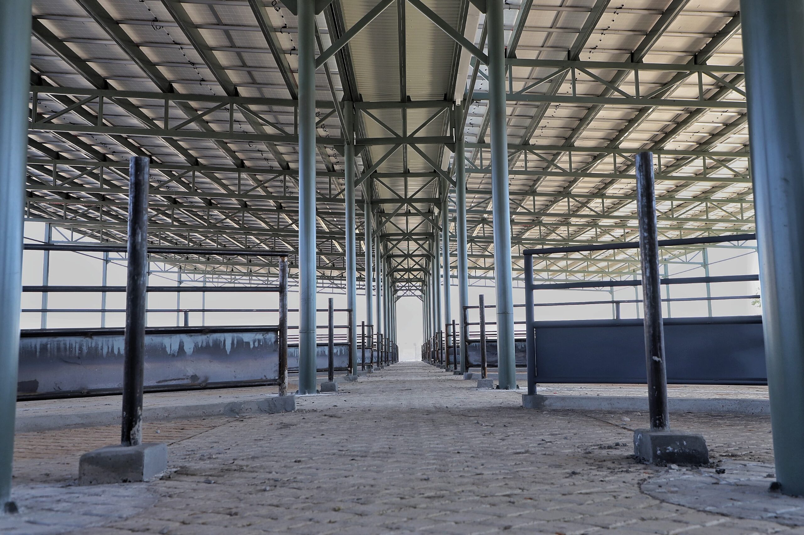 Nuevo rastro municipal de Jesús María alcanza 90 % de avance