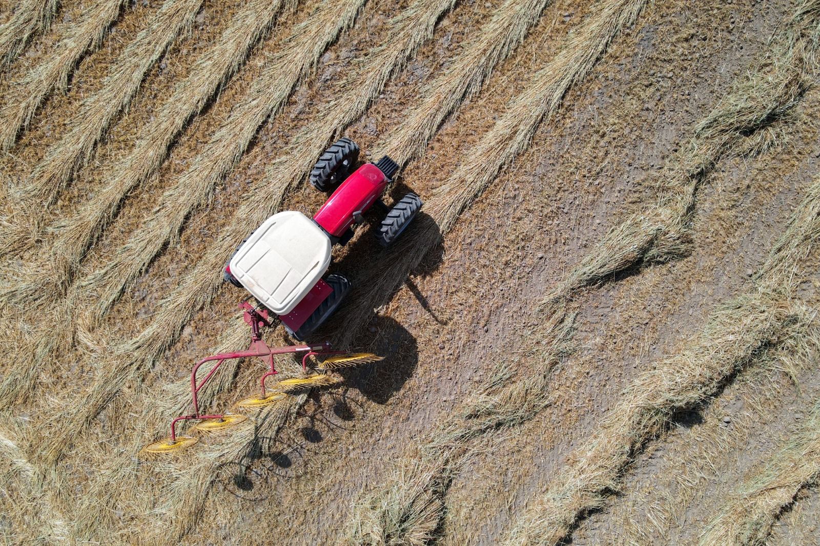 Productores del campo podrán recibir hasta 100 mil pesos para adquirir equipo agrícola