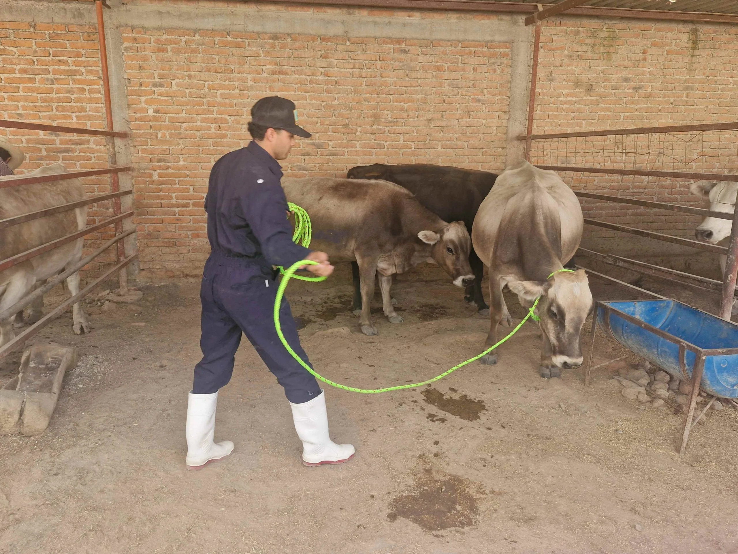 Arranca Municipio trabajos de la Clínica Veterinaria Ambulatoria 2026