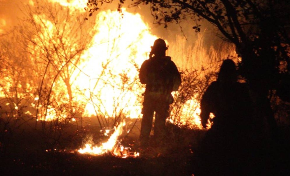 Nueve de cada 10 incendios en León son causados por personas