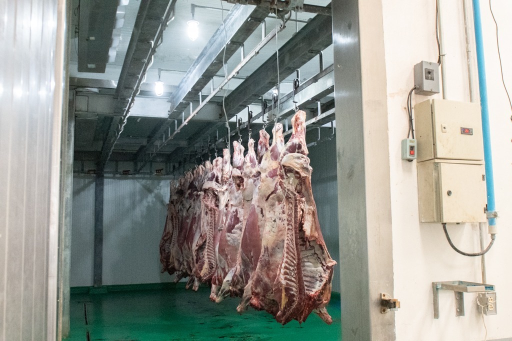 Anuncian nueva planta de tratamiento para reforzar operación del rastro en San Miguel de Allende