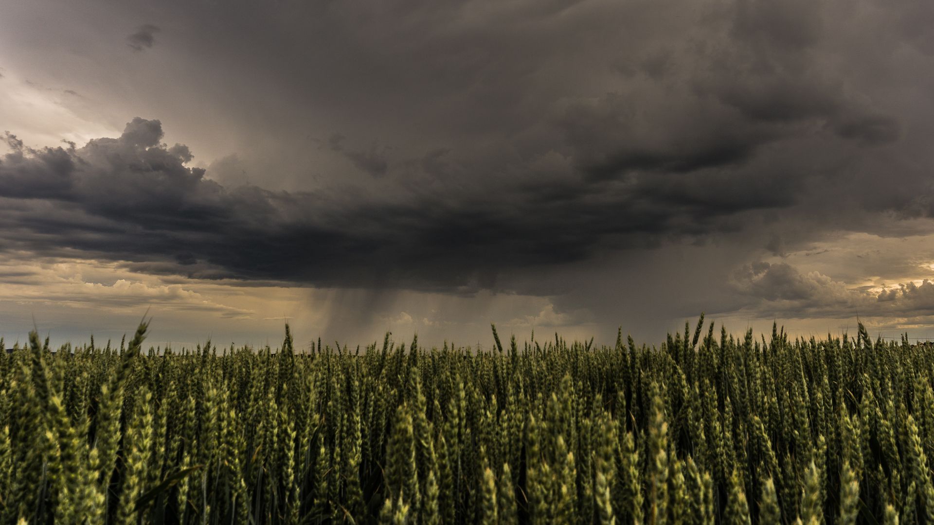 ¿Lloverá menos en Aguascalientes este año? Esto prevé la SEDRAE