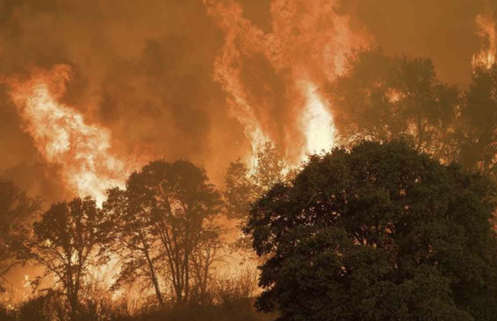 Crecen incendios 44%: van 10 mil hectáreas afectadas en Guanajuato este año