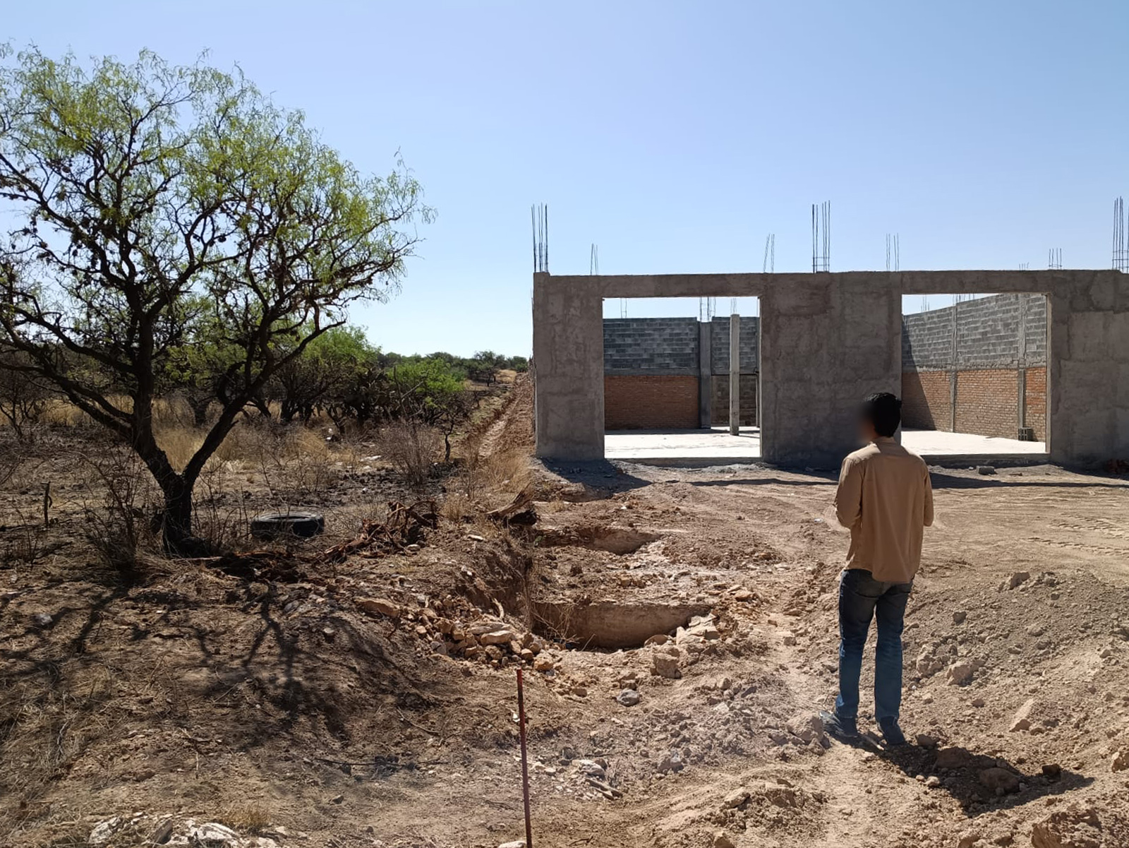 Desmonte ilegal: clausura Profepa obra irregular en Asientos