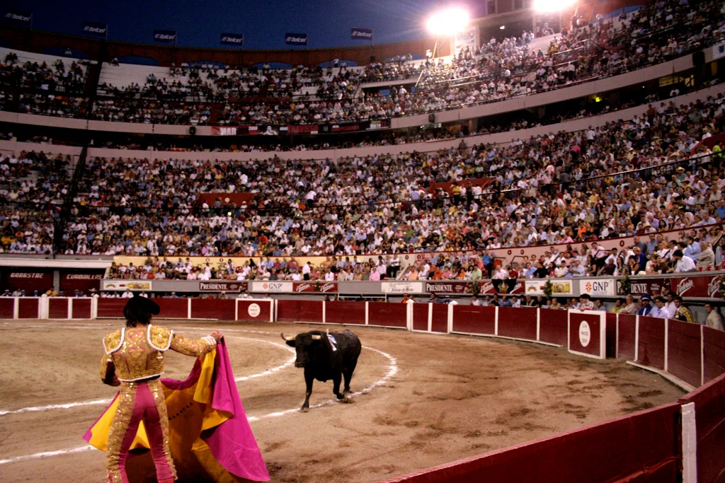 Activistas llevan a la SCJN juicios contra corridas de toros en 6 estados