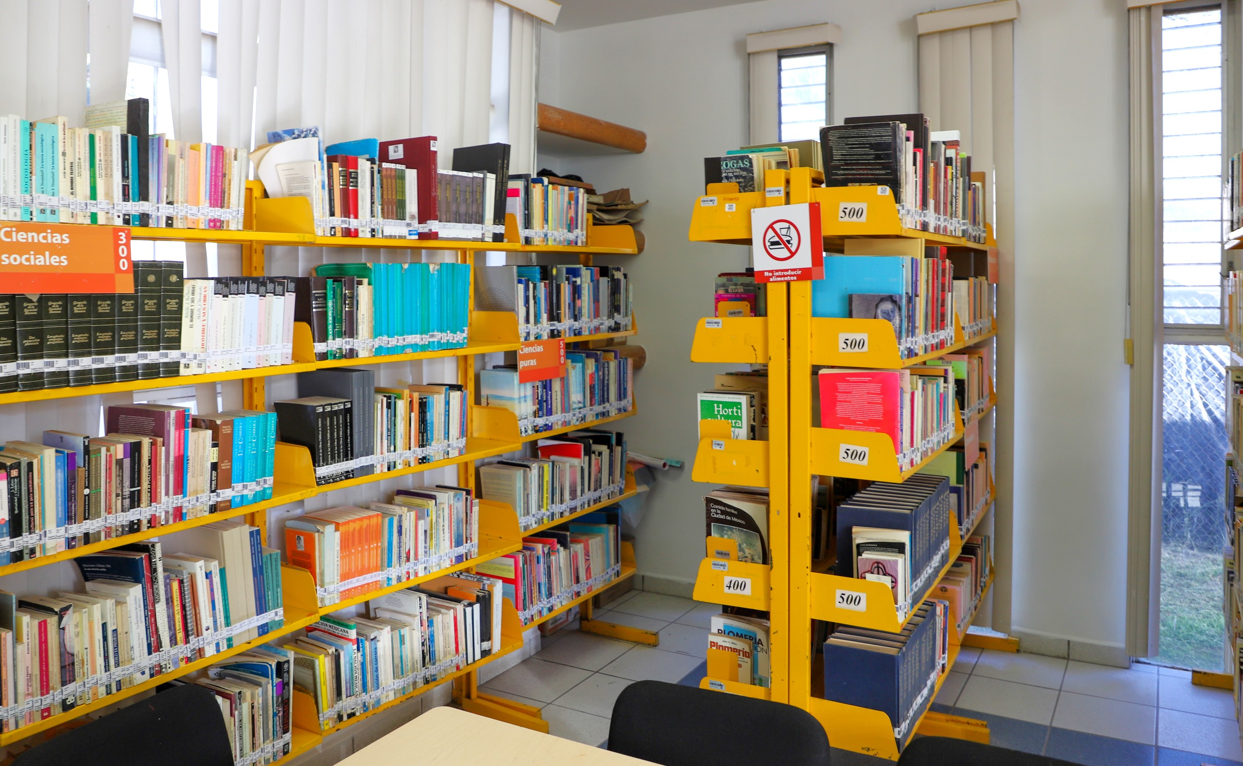 Abren cursos infantiles de primavera en bibliotecas de Jesús María