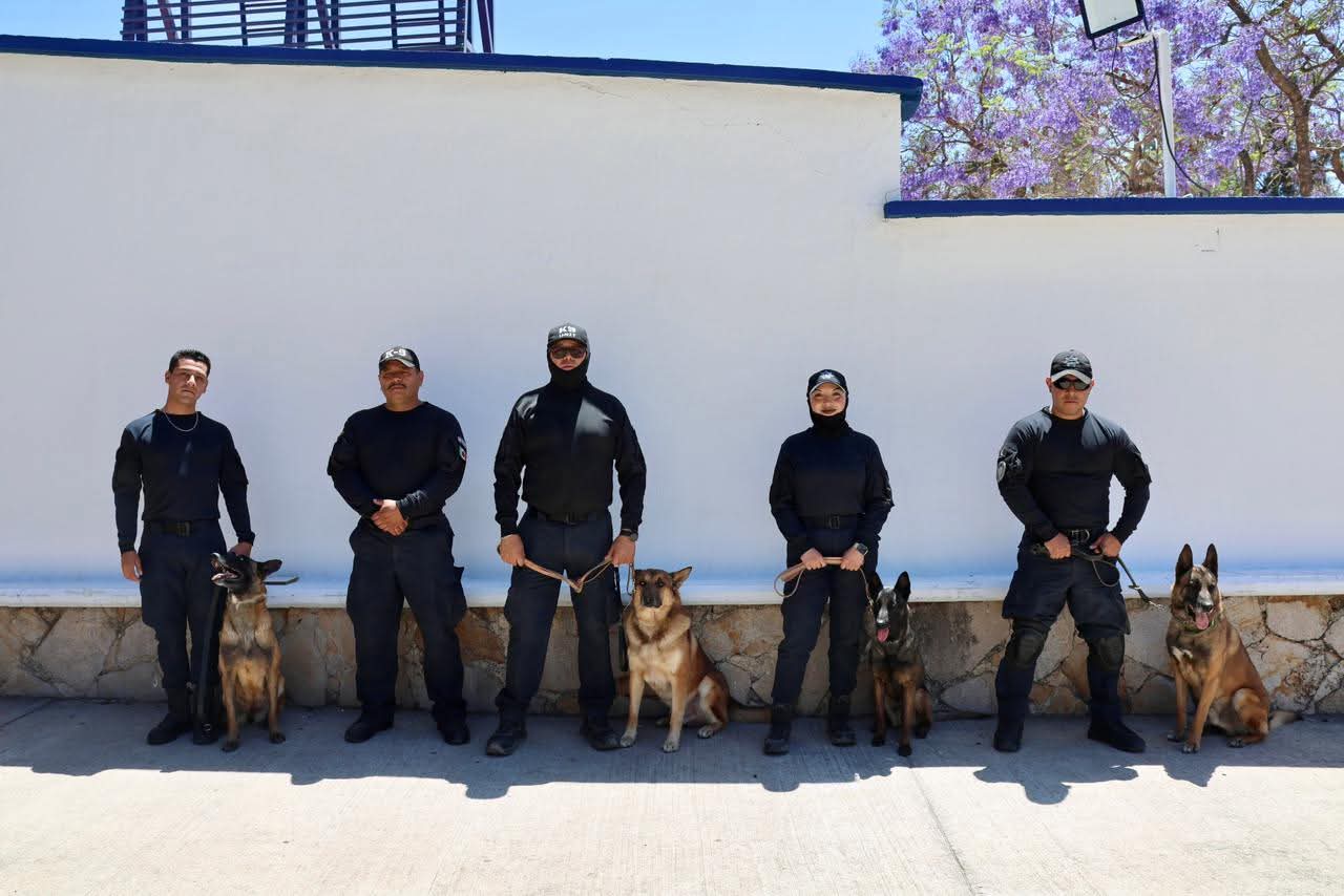 Participa unidad K9 de Jesús María en curso internacional de capacitación
