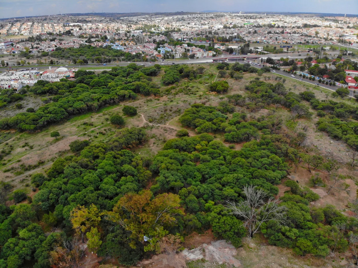 Colectivos solicitan declarar La Pona como área natural protegida en su totalidad