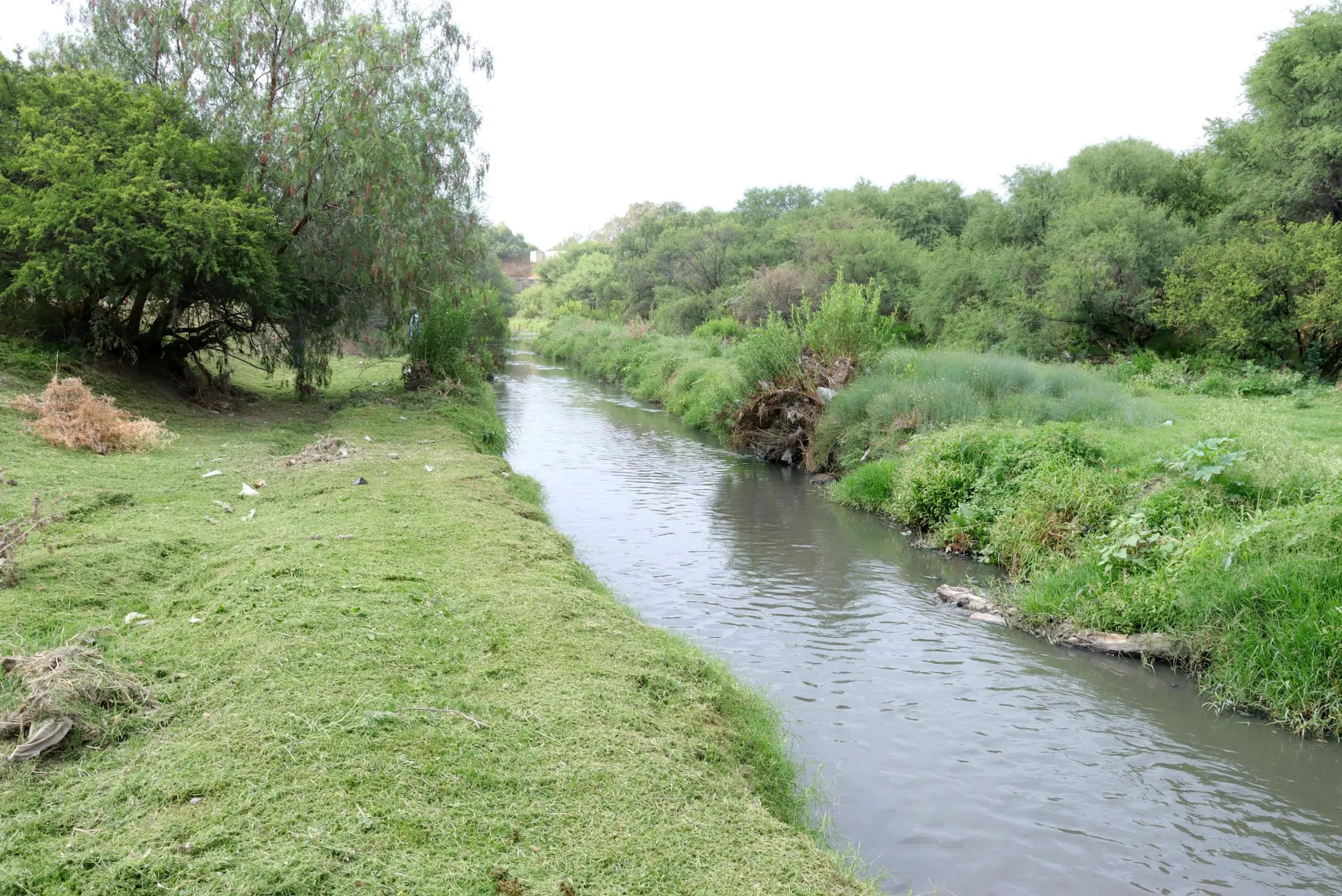 Avanza rehabilitación del Río San Pedro