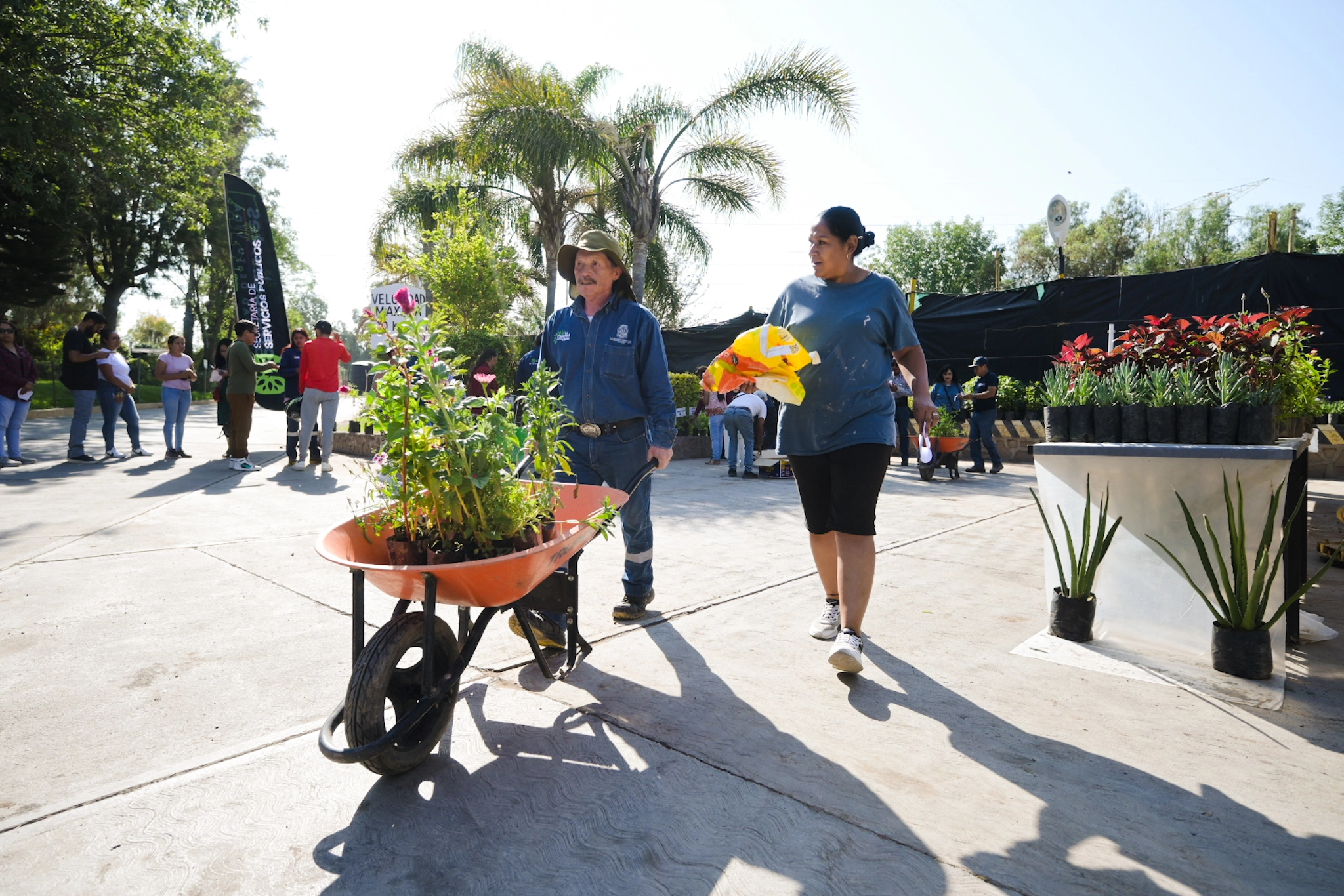 Todos los jueves, donación de plantas y árboles en el vivero municipal