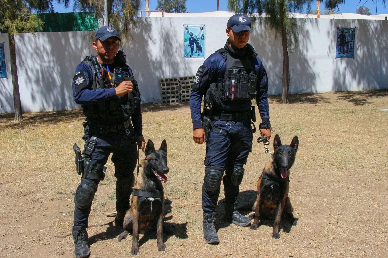 Binomios caninos contribuyen a labores de seguridad en Aguascalientes