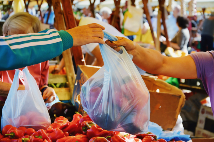 Más de 140 negocios de la FNSM sustituyeron bolsas plásticas tras apercibimientos