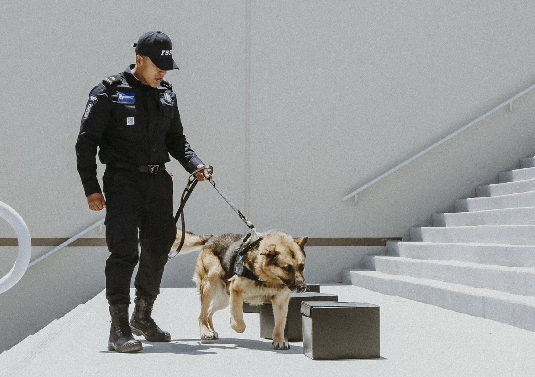 Jubilan en Guanajuato a 10 perritos de la Unidad K9, tras siete años de servicio