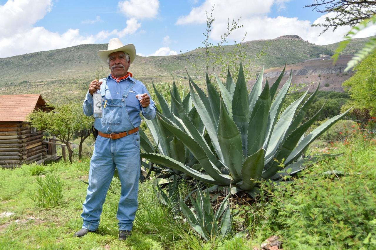 Mezcal de Aguascalientes busca abrirse paso en mercados nacionales e internacionales